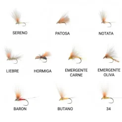 Baetis Mosca Quevedo