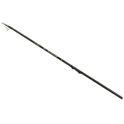 Carp Expert Caña pesca a la inglesa Max 2 Tele