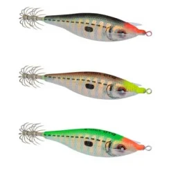 DTD Jibionera Zebra 2.0