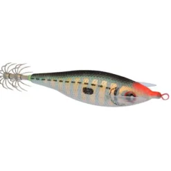 DTD Jibionera Zebra 2.0
