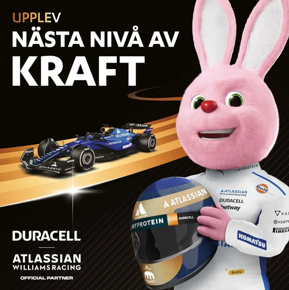 Duracell Pilas alcalinas AAA Plus Power Boost DPBLR3B12 1.5V 12 unidades