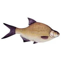 Energoteam Almohada Bream 74016472