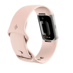 Fitbit Smartwatch Charge 6