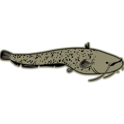 Hotspot Design Pegatina Catfish