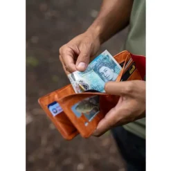 Korum Cartera de licencias Barbo