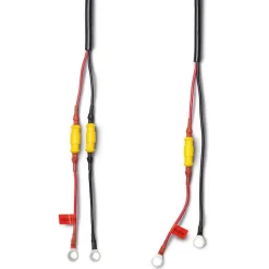 Mastervolt Cargador EasyCharge 10A