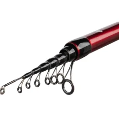 Mikado Caña boloñesa MFT