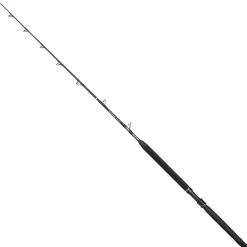 PENN Caña baitcasting Marine Brigade Trolling