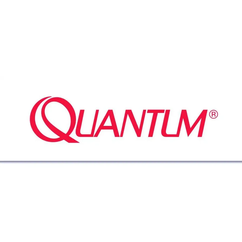 Quantum Fishing Pegatina Logo