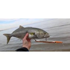 Rapala Paseante de superficie Flash-X Skitter 33g 220 mm