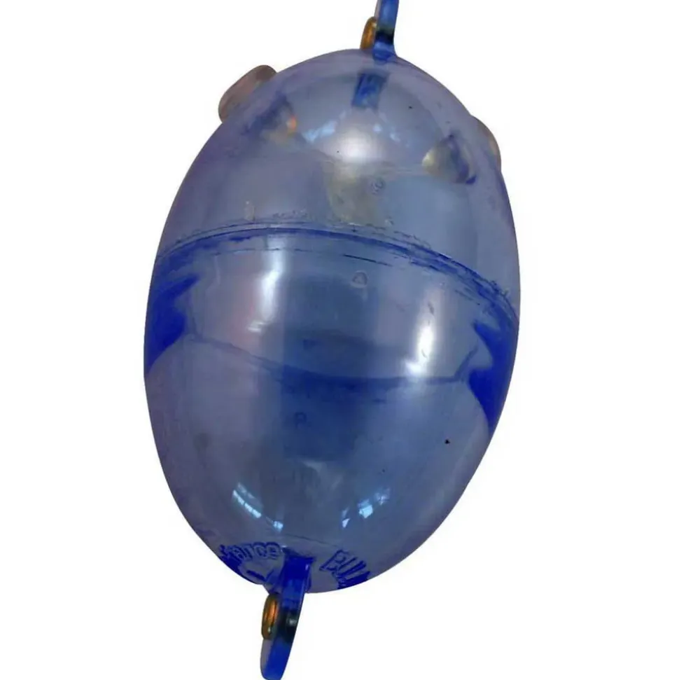 Tortue Buldo Oval