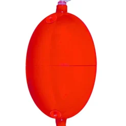 Tortue Buldo Oval Regulable