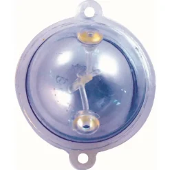 Tortue Buldo Perspex