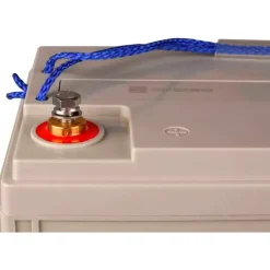 Victron Energy Batería AGM Super Cycle 12V/100Ah M6