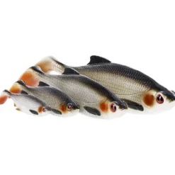 Westin Vinilo Ricky The Roach Shadtail 42g 140 mm